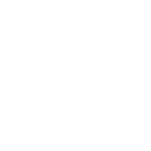 شركة نسر العالمية لتقنية المعلومات