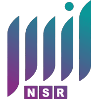 NSR INTERNATIONAL CO